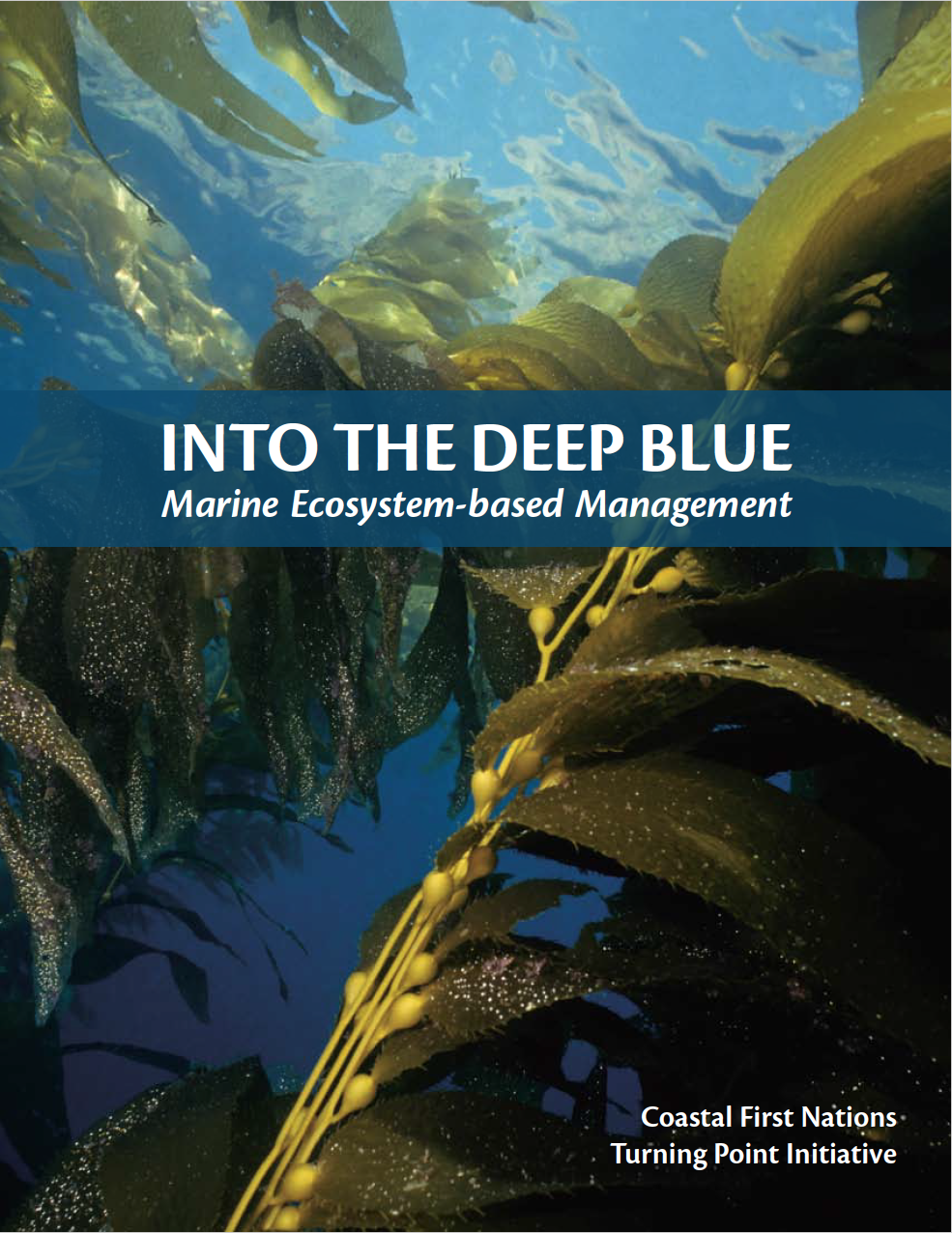 Into the Deep Blue