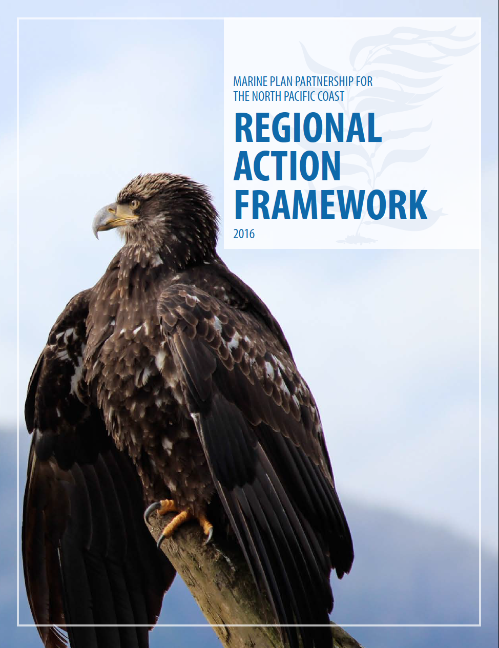Regional Action Framework
