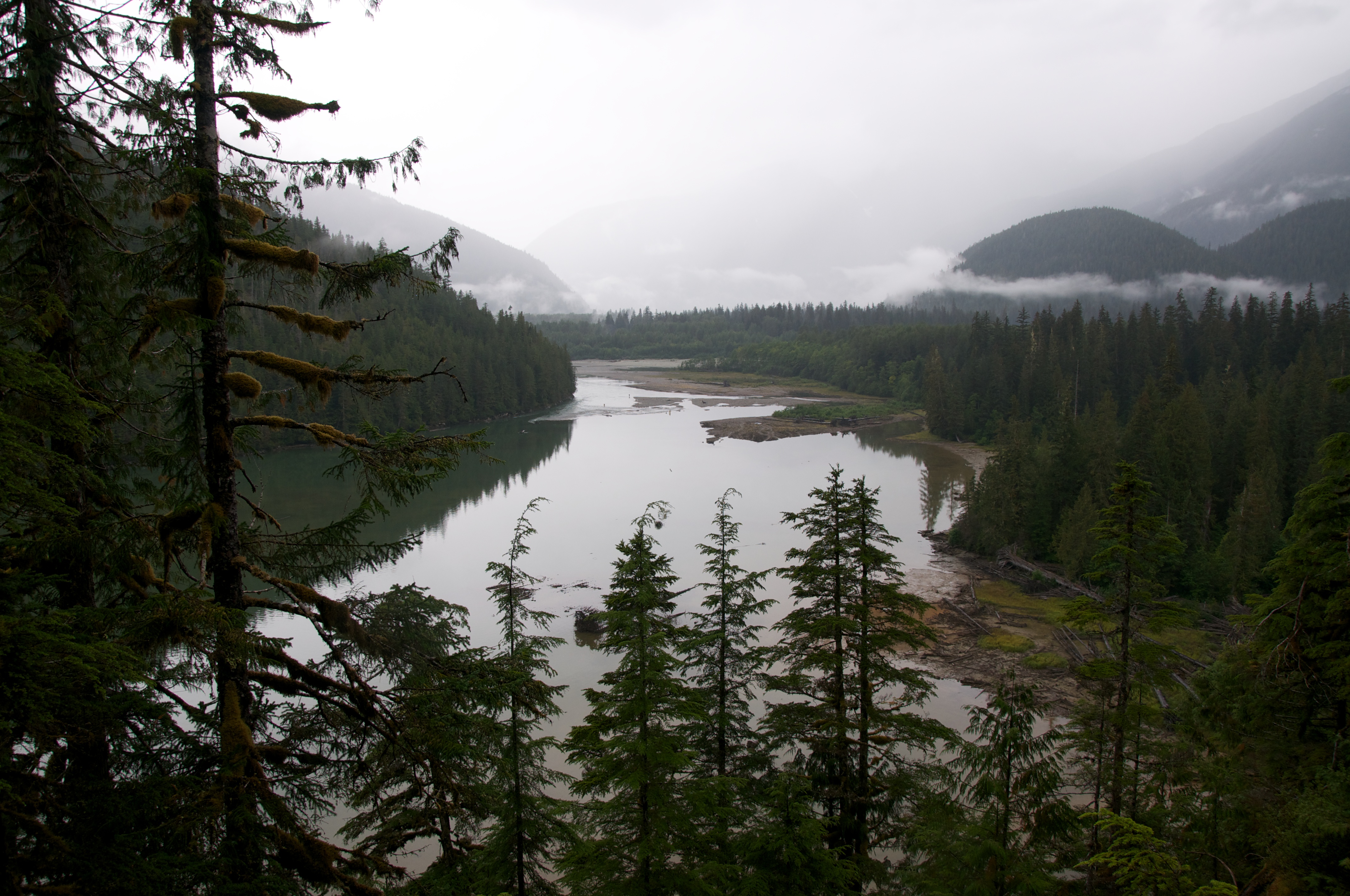 Capturing the Essence of the Great Bear Rainforest - Coastal First