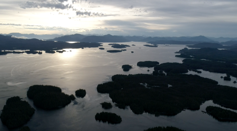 Creating A Marine Protected Area Network For The Northern Shelf ...