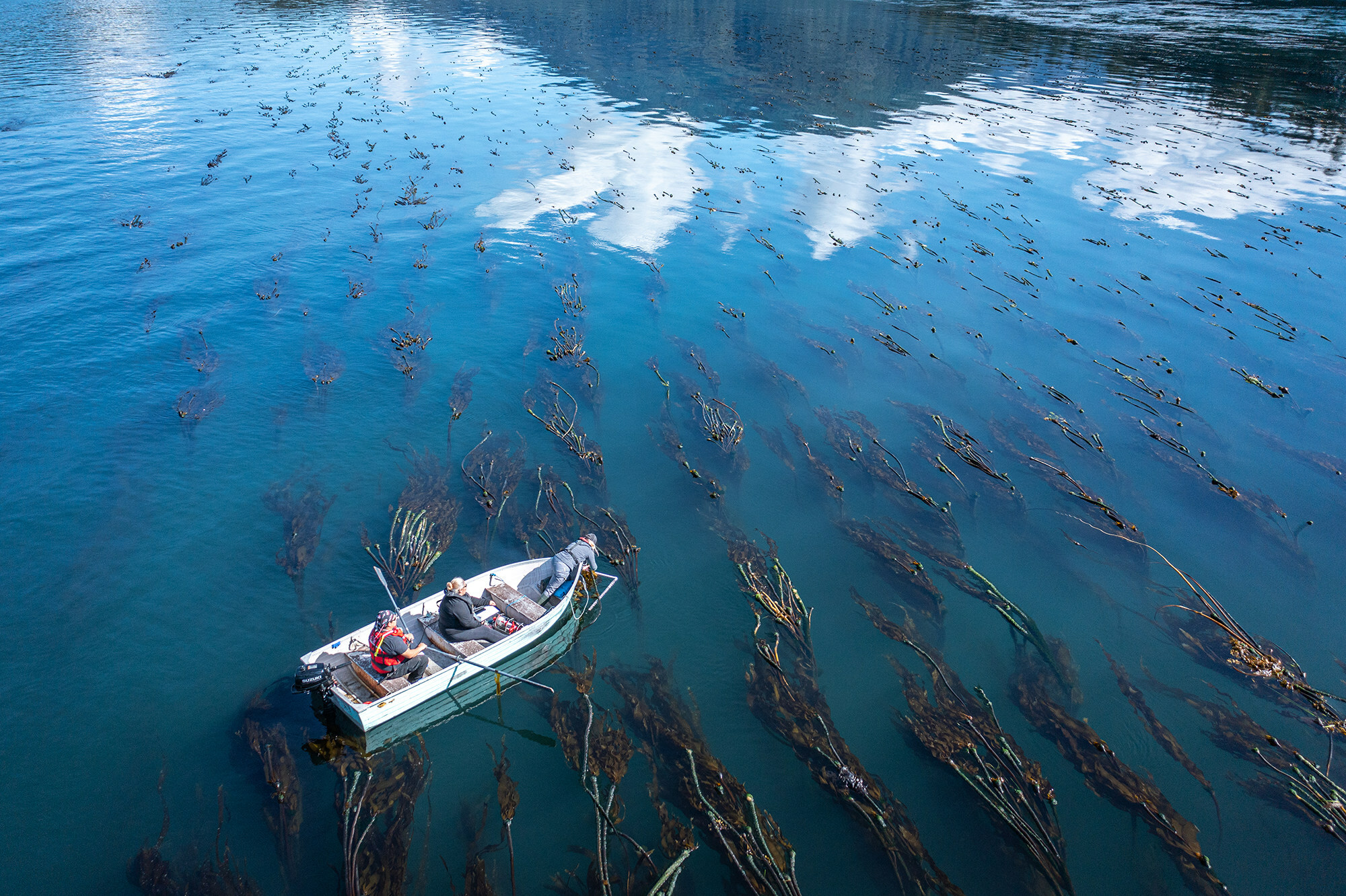 Coastal First Nations, Nanwakolas Council and Coast Funds are welcoming B.C.'s investment in the Great Bear Sea (Josh Neufeld photo) (CNW Group/Coastal First Nations, Nanwakolas Council and Coast Funds)