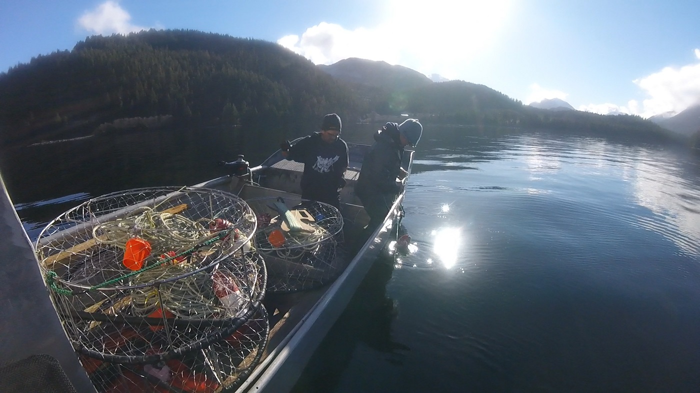 Heiltsuk Crab Surveys