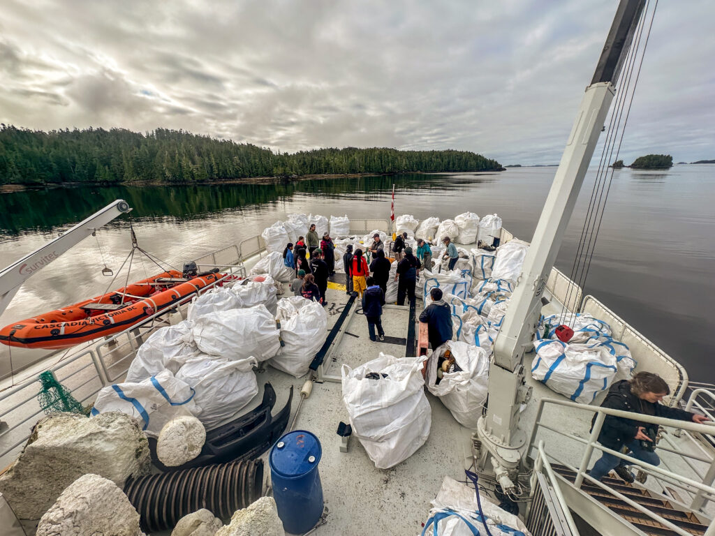 shoreline cleanup