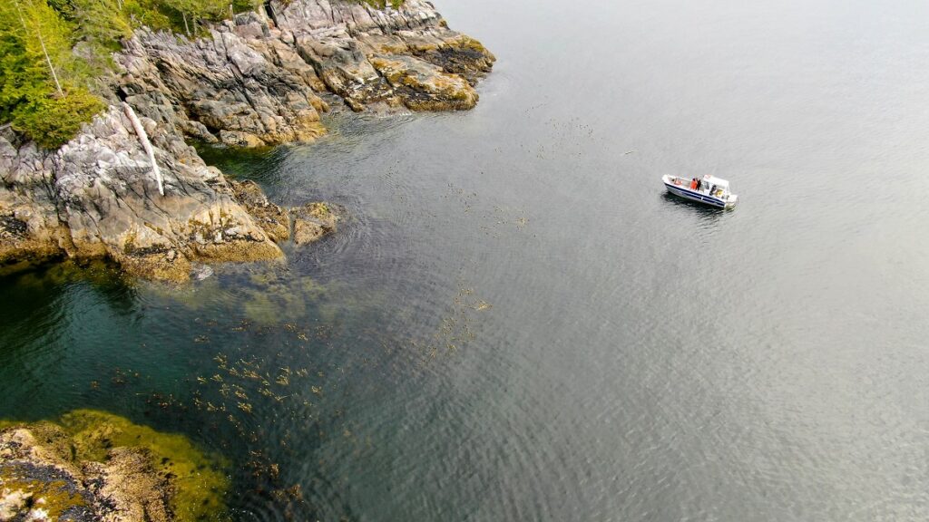 Wuikinuxv GW surveying the declining kelp in their territory