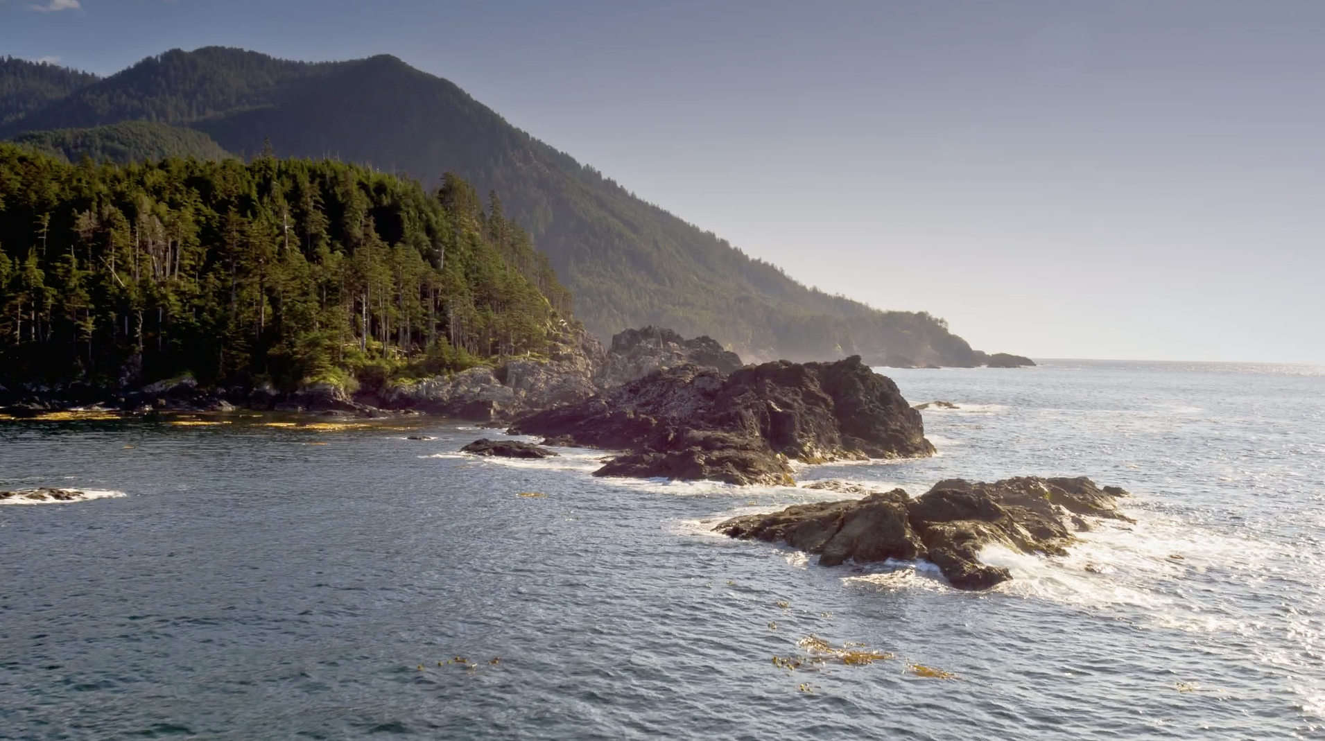 MPAs - coastline