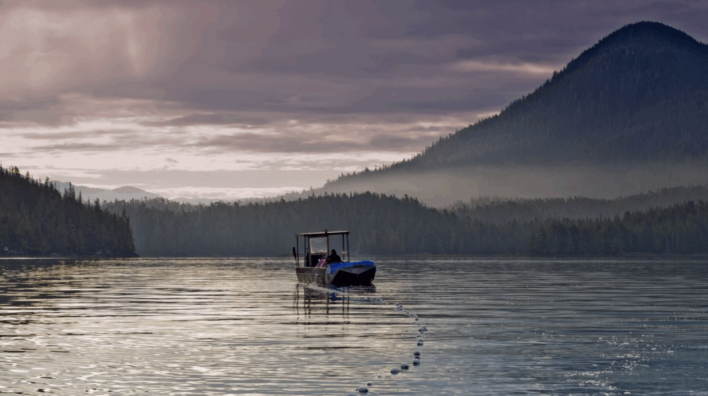 coastalfirstnations.ca