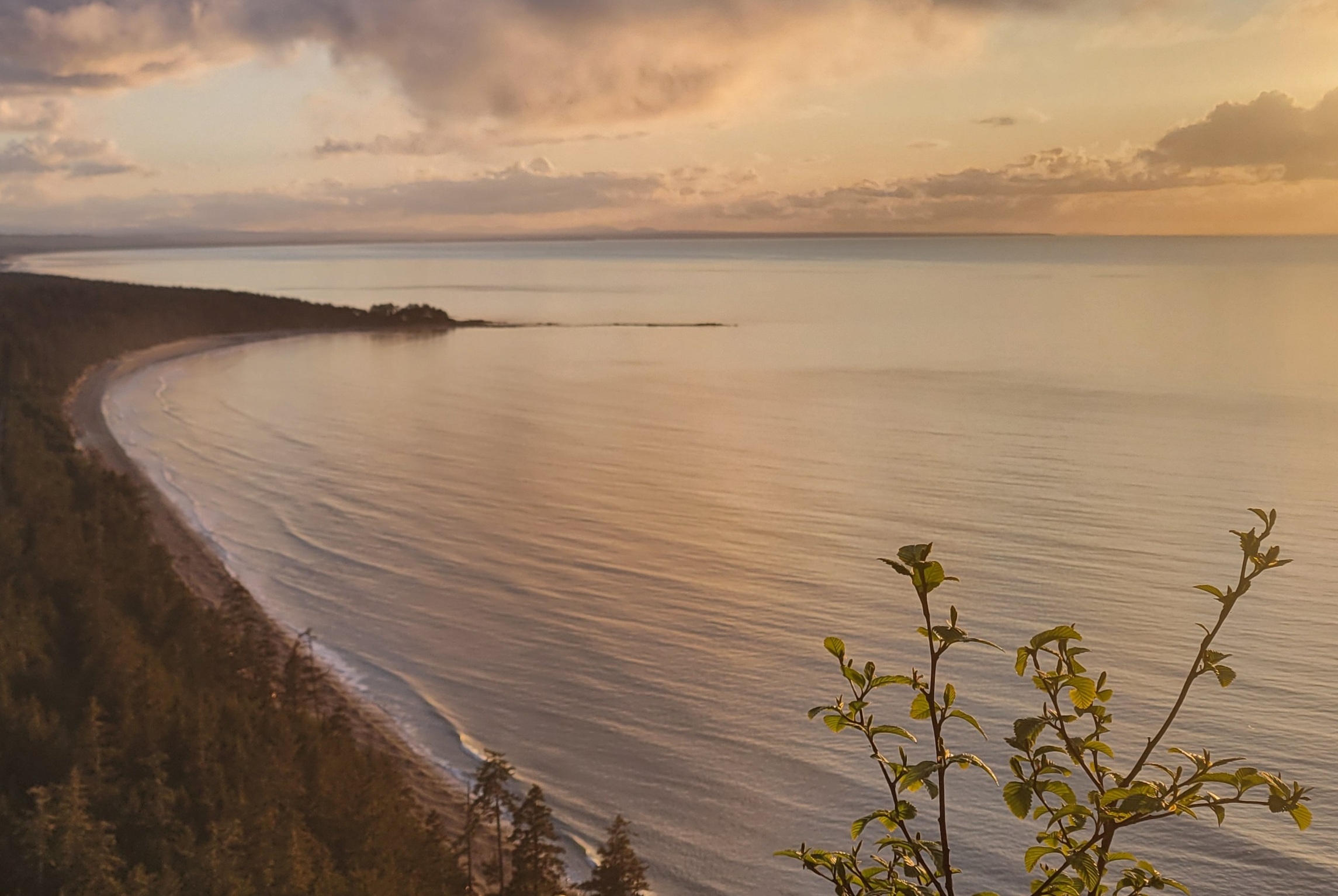 Haida Gwaii - 2025 CSNAG